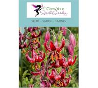 Lis botanique - Lilium martagon Rose - vivace