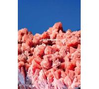 Lisa Barnard You Only Look Once