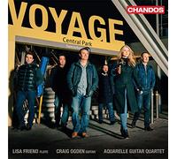 Lisa Friend - Voyage