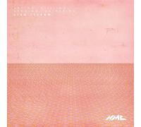 Lisa Illean : Arcing, stilling, bending, gathering. Go, McGrath, Zucchi, Acker, Fraser, Robertson.