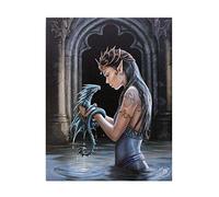 Anne Stokes Motif Water Dragon Gothique-une fée avec son bébé Dragon Tableau toile sur chassis-Plaque murale/sticker mural
