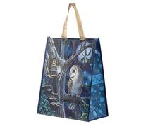 Fairy Tales Owl and Fairy Lisa Parker Reusable Shopping Bag NWBAG63
