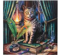 Lisa Parker - Plaque encadrée "Book Of Shadows", Canvas SD4420 (Taille unique) (Bleu/Vert)
