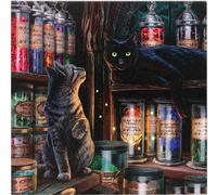 Lisa Parker - Plaque encadrée "Magical Emporium", Canvas SD4419 (Taille unique) (Coloré)
