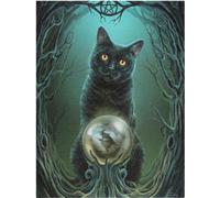 Lisa Parker - Toile "Rise Of The Witches" SD6466 (Taille unique) (Noir/Vert)