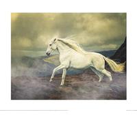 Lisa Saint - Poster "Race The Storm" PM4620 (60 cm x 80 cm) (Blanc/Brun)