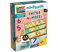 LISCIANI - MONTESSORI - Les Nombres Tactiles - Jeu Educatif pour Enfants dès 3 ans - Boîte à Nombre - Développe Mémoire Tactile - 15 Cartes de Familles & Silhouettes des Nombres