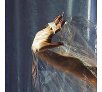 Lisel - Angels on the Slope