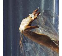 Lisel - Angels on the Slope