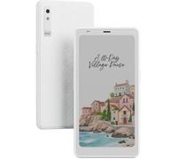 BOOX ePaper Liseuse Palma 2 Pro 6,13" 128 Go Android 15 E-Ink 300 PPP (Blanc)