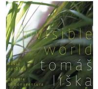Liška,Tomáš Invisible World