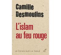 L'islam au feu rouge