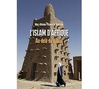 L'Islam D'Afrique - Au Dela Du Djihad