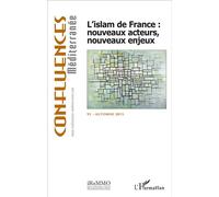 L'islam de France : nouveaux acteurs, nouveaux enjeux Nouveaux acteurs, nouveaux enjeux - Haoues Seniguer - L'harmattan - broché - Etude