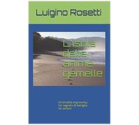 L'isola Delle Anime Gemelle: Un'eredità Improvvisa Un Segreto Di Famiglia Un Amore (Italian Edition)