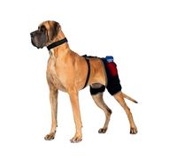 LISPOO Attelle de dysplasie de la hanche pour chiens, avec thérapie par le chaud et le froid, 2 paquets de gel inclus, poche à changement rapide, soutien réglable pour l'arthrite, la raideur et le