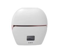 Lisseur de Voyage Mini - Rechargeable À Affichage Numérique Avec Couvercle | Lisseur à Cheveux de Voyage | Pour Lisser Boucler Coiffer à Domicile Bureau École Extérieur Camping