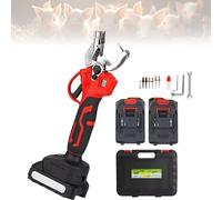 Lissontine Pince pour Marquage d'animaux Rechargeable, Applicateur D’étiquettes pour Vaches, avec 2 Piles, 6 Aiguilles pour étiquettes Auriculaires