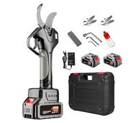 Lissontine Sécateur De Jardin Sécateur De Jardin électrique sans Fil 21 v, Lame Sk5, écran LCD, Perche Télescopique 2,1m Et Double Batterie 4500mah pour Arbres Et Arbustes