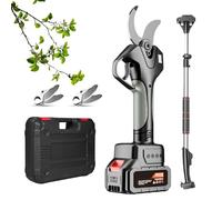 Lissontine Taille-Haie sans Fil Sécateur électrique sans Fil 21 v, Lame en Acier Haute Teneur en Carbone, écran LCD, Perche Télescopique 2,1m Et Double Batterie pour Verger Et Jardin