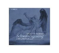 List / Schubert - Schwanengesang - Can Cakmur Piano
