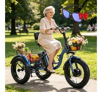 LISTaRSw Tricycle électrique pour Seniors, 20 Pouces, 7 Vitesses, Pneus Larges, Paniers Avant Et Arrière, Freins à Disque Doubles, écran LCD, Charge Maximale:150Kg, Autonomie:35Km B