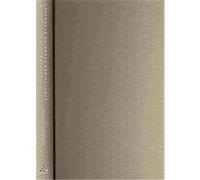 Listening to Noise and Silence Salome Voegelin (Auteur)