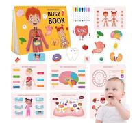 lisutupode Livre d'anatomie du corps humain pour , le livre du corps humain occupé le jeune enfant | Activités d'apprentissage préscolaire de la maternelle, livre de corps humain pour