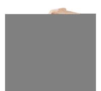 lisutupode Marches murales pour chat | Escalier pour chat en bois de pin naturel - Escalier et marches pour chat d'escalade et de repos sûrs pour chat