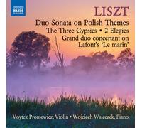 Liszt / Proniewicz / - Music for Violin & Piano [New CD]