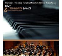 Liszt – Sonate en si mineur – AVI