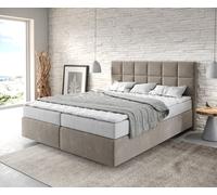 Lit à sommier tapissier Dream-Fine 160x200 Microfibre Beige