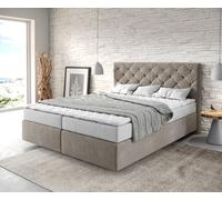 Lit à sommier tapissier Dream-Great 160x200 Microfibre Beige