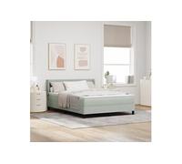 vidaXL Lit Box Spring avec Matelas Gris Clair 160x200 cm Velours