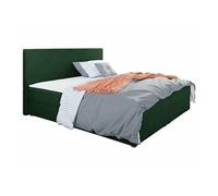 Lit continental Memphis 117, Double, Vert, Tapisserie, 185x208x105cm