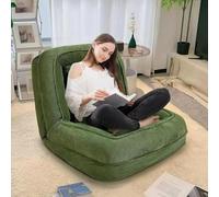 Lit convertible pour chien humain avec 5 positions réglables et 2 oreillers doux pour chambre à coucher, salon, bureau