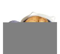 Lit En Panier Pour Chat,Accessoires Pour Animaux Tressés Avec Tapis,Lits Mignons Pour Chats Et Nid De Sommeil Pour Chiots | Pour Chaton Chiot Lapin Animal Toutes Saisons Chambre Salon Dortoir Jouet Ra