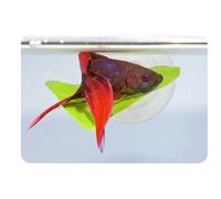 Zoo Med Hamac flottant pour betta forme feuille – Plastique Vert – 1 unité