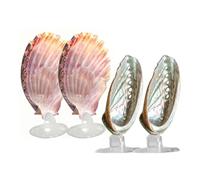 Lit pour Betta,4 Tapis de Reproduction en Forme de Coquillage,Reposoir pour Poisson Betta avec Ventouse - pour Cachette Animalerie Reproduction Crevettes Détente dans Aquarium