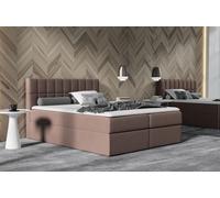 Lit Rose Tissu Boxspring Lit Textile Design Double Hôtel Moderne avec Coffre de Lit