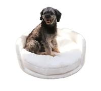 Lit-sofa pour animaux domestiques, design surélevé, coussin amovible, 41,5 cm