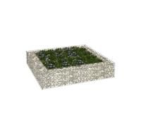 Lit surélevé à gabion Acier galvanisé 100x100x20 cm