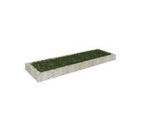 vidaXL Lit surélevé à gabion Acier galvanisé 300x100x20 cm Jardinière Patio