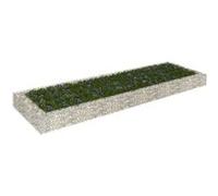 Vidaxl Lit Surélevé À Gabion Acier Galvanisé 300x100x20 Cm