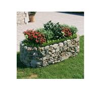 Lit Surélevé à Gabion Parterre de Fleurs Support de Plante Jardinière Pot de Fleurs Jardin Terrasse Extérieur Fer 152040