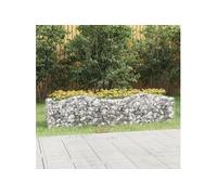 Lit surélevé à gabions arqué 200x50x50 cm Fer galvanisé