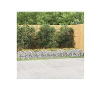 vidaXL Lit surélevé à gabions Arqué – Panier de gabion extérieur, 400x50x50 cm fer galvanisé