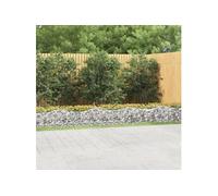 vidaXL Lit surélevé à gabions arqué – Panier de gabion extérieur 600x50x50 153544
