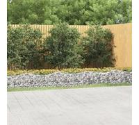 vidaXL Lit surélevé à gabions arqué – Panier de gabion extérieur 600x50x50 153544
