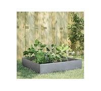 Lit surélevé de jardin 100x100x33,5 cm acier inoxydable 851029
